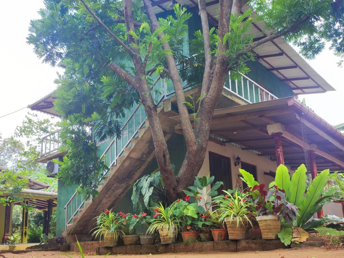 Jaana Guest Hotel สิกิริยา ภายนอก รูปภาพ