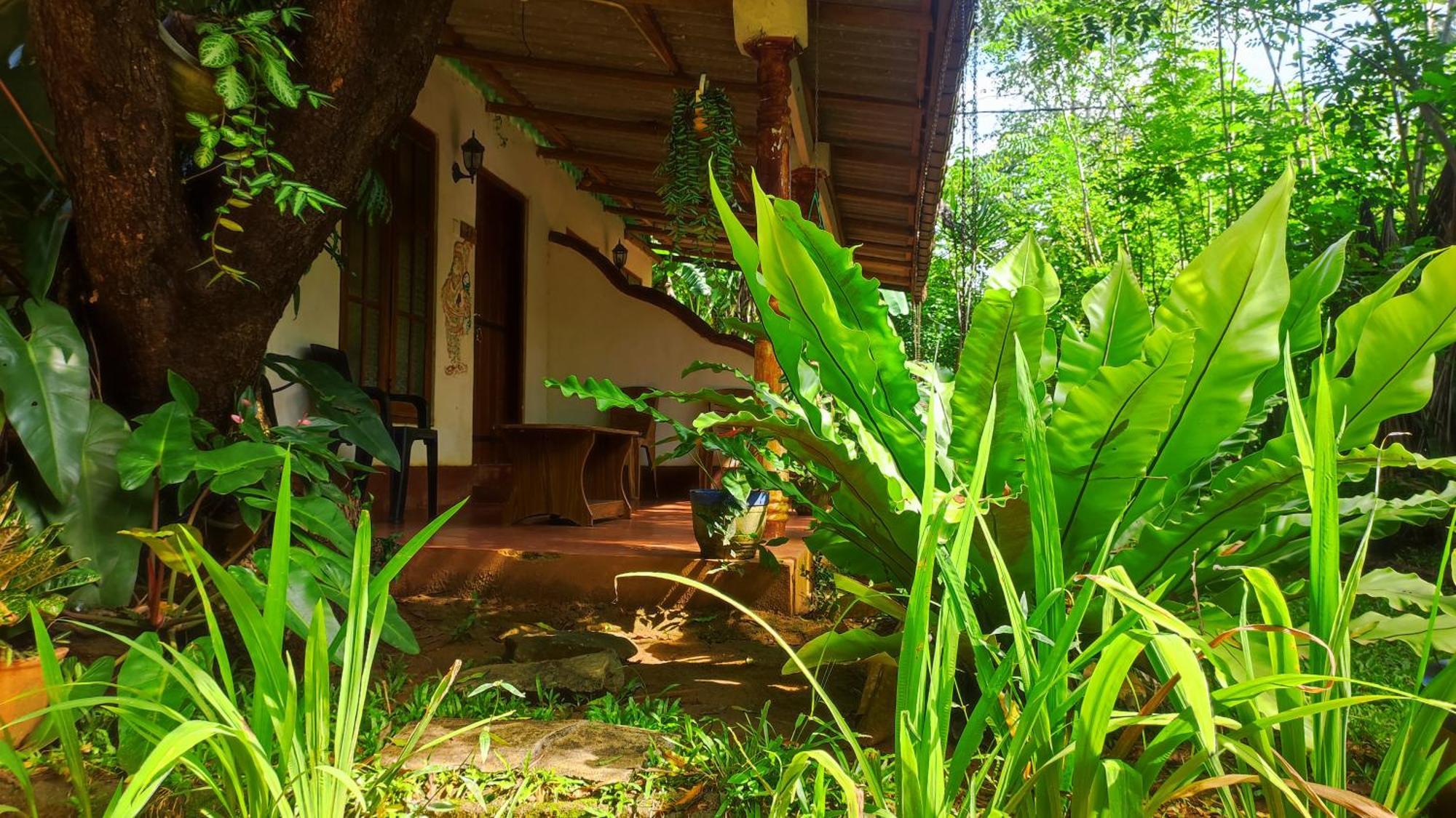 Jaana Guest Hotel สิกิริยา ภายนอก รูปภาพ
